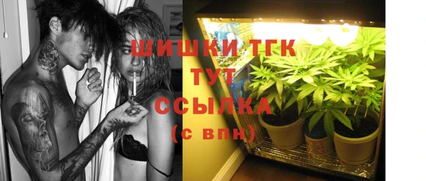 тгк Абинск
