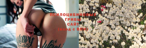 спиды Алексеевка