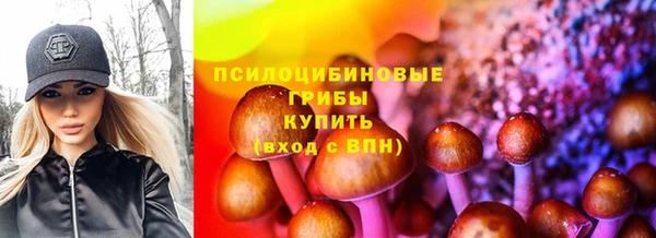 спиды Алексеевка