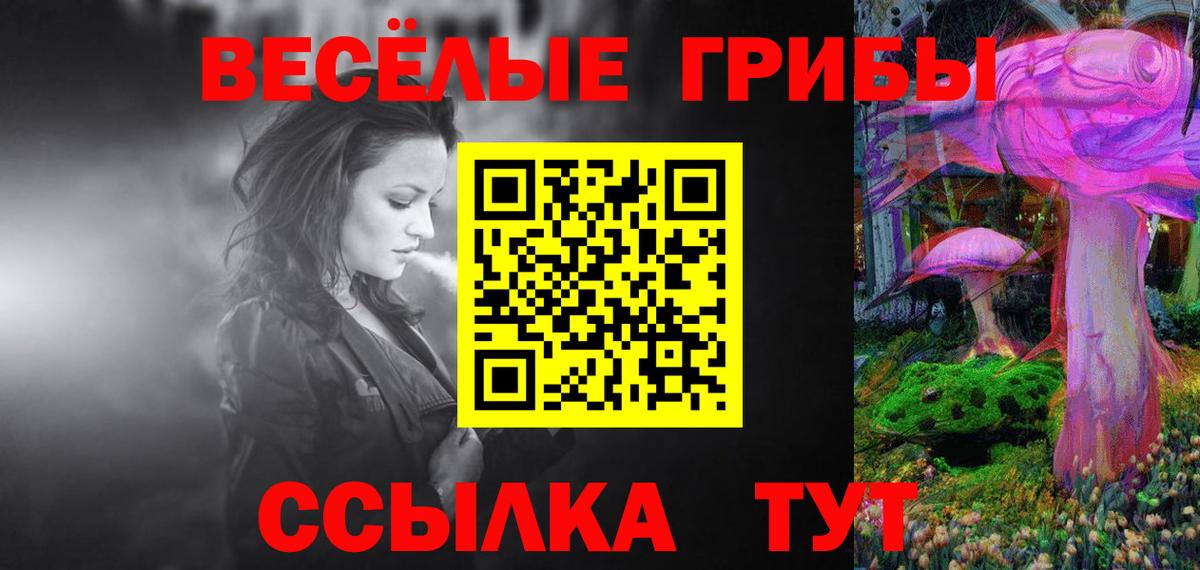 Тавда  Псилоцибиновые грибы прущие грибы  Псилоцибиновые грибы Cubensis  что такое наркотик  Вход с VPN 